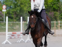 IMG_0502_web